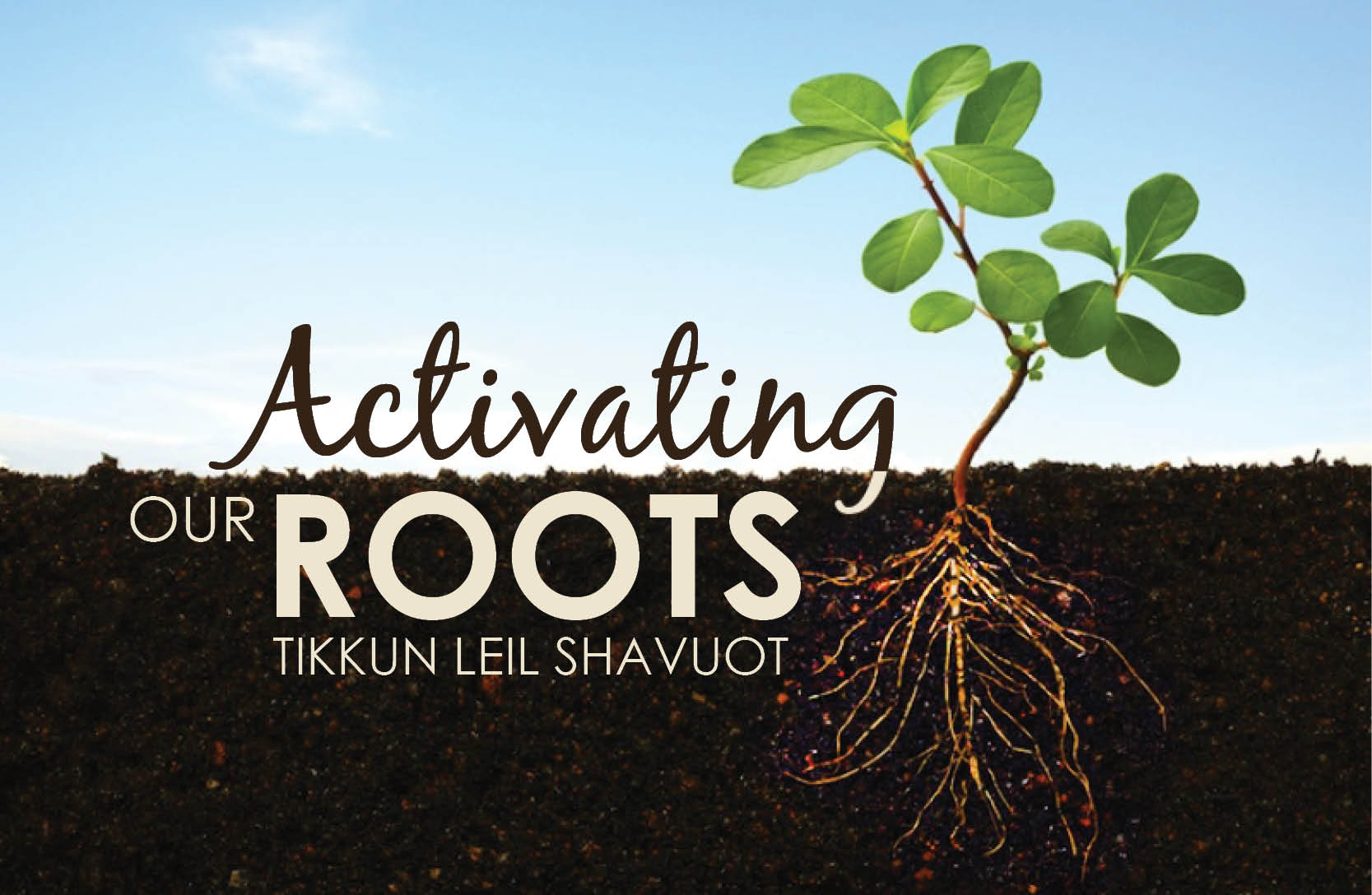 Celebrate Shavuot - The Holiday of the Giving of the Torah