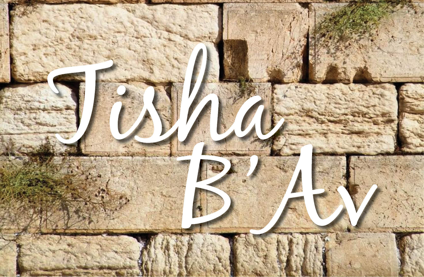 Tisha B'Av Services - Sunday morning and afternoon