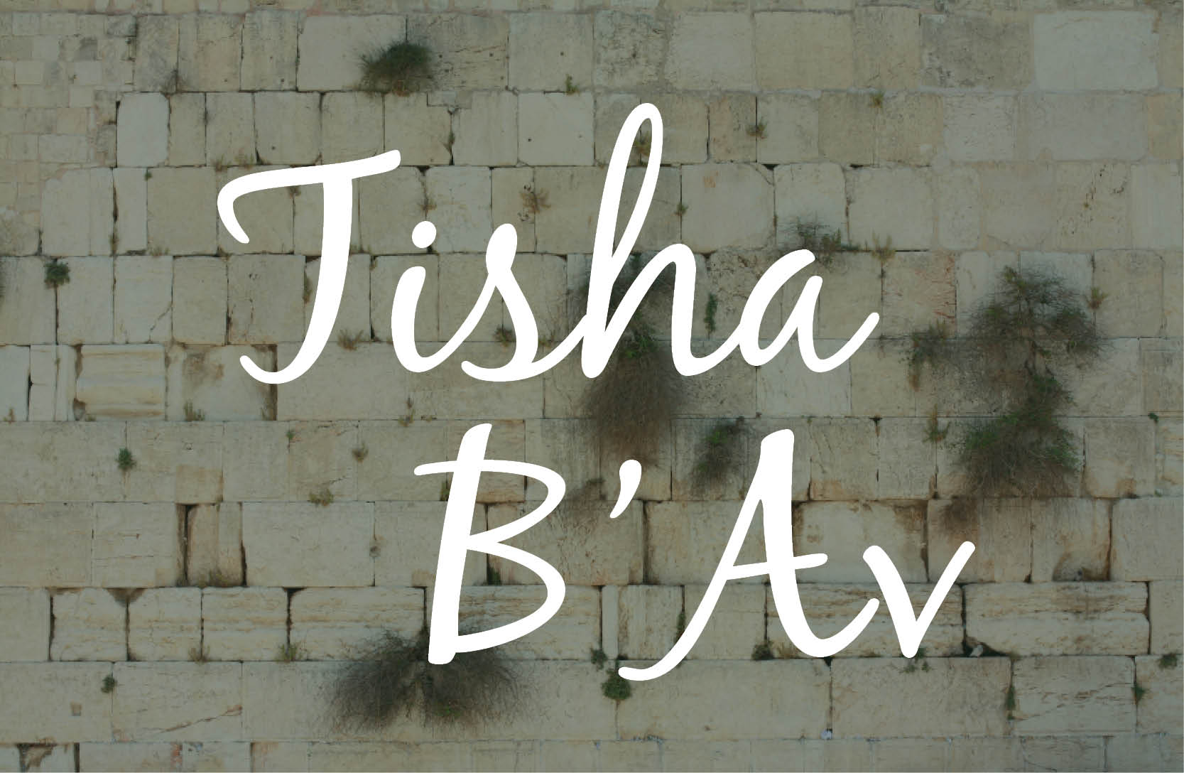 Ma’ariv for Tisha B’Av with Reading of Eikhah & Kinot